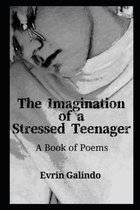 The Imagination of a Stressed Teenager
