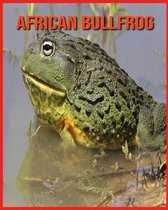 African Bullfrog