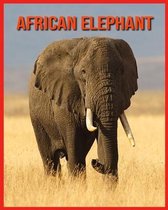 African Elephant
