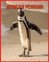 African Penguin