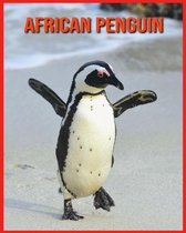 African Penguin