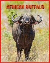 African Buffalo