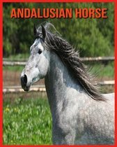 Andalusian Horse