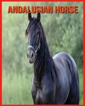 Andalusian Horse