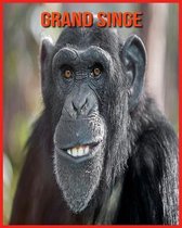 Grand Singe