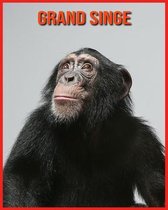 Grand Singe