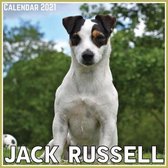 Jack Russell Calendar 2021