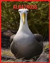 Albatross