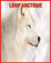 Loup Arctique