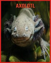 Axolotl