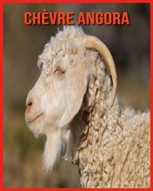 Chevre Angora