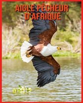 Aigle Pecheur d'Afrique