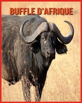 Buffle d'Afrique