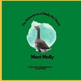 The Adventures of Molly the Goose: Meet Molly