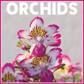 Orchids Calendar 2021: Official Orchids Calendar 2021, 12 Months