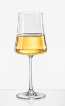 XTRA moderne witte wijn wijnglazen – Bohemia Crystal – kristallen glazen 360 ml - 2 stuks