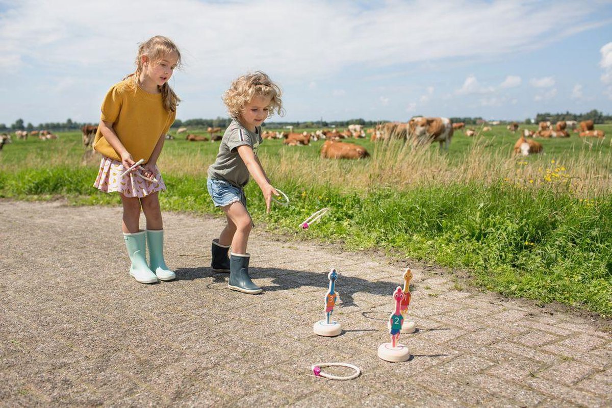 BS Toys Ringwerpen Vogels - Buitenspeelgoed - Werpspel kinderen - Werpspel hout - Spelletjes voor kinderen - Buiten speelgoed - Buitenspel - Buiten Spellen - Tuin Speelgoed - Houten speelgoed — afbeelding 8
