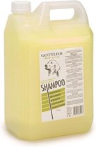 Gottlieb Eishampoo - Hond - 5L