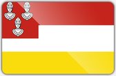 Vlag gemeente Eemnes - 70 x 100 cm - Polyester