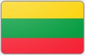 Vlag Litouwen - 100 x 150 cm - Polyester