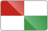 Vlag gemeente Opsterland - 70 x 100 cm - Polyester