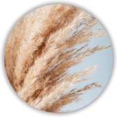 Wandcirkel Soft Pampas