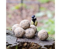 Mezenbol Zonder Net - 100 stuks | Met 100% gerecyclede mezenbolhouder