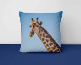 Kussen - Giraffe tegen blauwe achtergrond - Woon accessoire - 60 x 60 cm