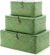 Mandje - Groen - 35.5x23x13.5cm - 29x21x12.5cm - 24x14.5x12cm - Riet - (set van 3)