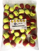 Guta Stage 3 Tennisballen 36-Pack