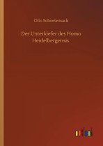 Der Unterkiefer des Homo Heidelbergensis