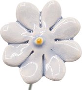 Set van 3 Madeliefjes mini lichtblauw