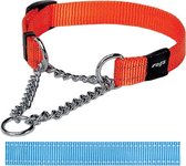 Rogz for dogs snake choker turquoise - 16 mmx32-44 cm - 1 stuks