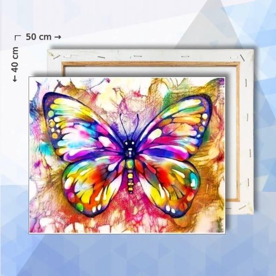 Groenland wimper is er Schilderen op nummer pakket Kleurige vlinder - 40 x 50 cm - met frame |  bol.com
