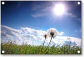 Paardebloemen in de wei op een zonnige dag - Tuinposter 120x80 - Wanddecoratie - Besteposter - Landschap - Natuur - Bloemen