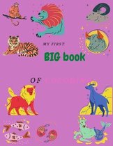 My first big book of coloring: coloring book for kids 8.5*11 in 50 pages