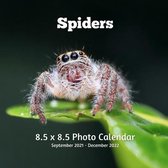 Spiders 8.5 X 8.5 Photo Calendar September 2021 -December 2022: Monthly Calendar with U.S./UK/ Canadian/Christian/Jewish/Muslim Holidays- Insects Natu