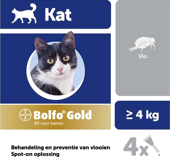 bijtend bedriegen band Bayer Bolfo Gold 80 Anti vlooienmiddel - Kat - > 4 kg - 4 pipetten | bol.com