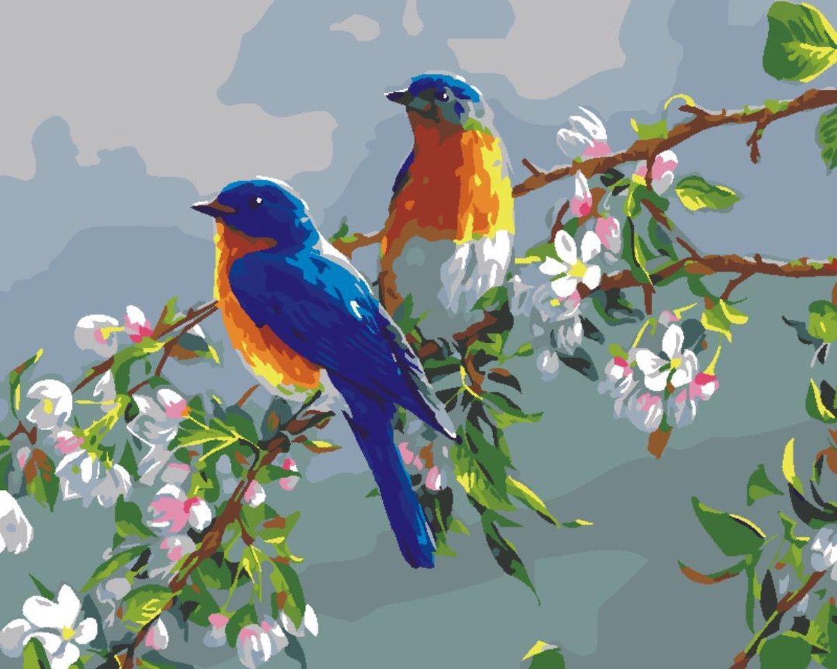 bol.com | Painting by Numbers voor volwassenen en kinderen - Schilderen