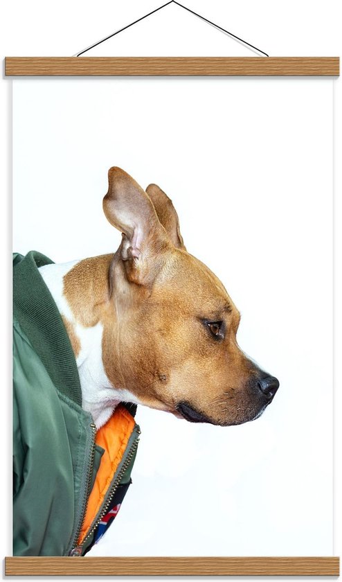 Schoolplaat – Hond met Groene Bomberjas van de Zijkant - 40x60cm Foto op Textielposter (Wanddecoratie op Schoolplaat)