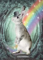 Kaart Rainbow Hare