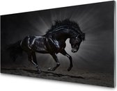Glasschilderij van een paard | 120 X 80 CM | 4 mm gehard glas | Incl. Blind ophangsysteem | Moderne glazen schilderij