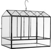 PTMD Ricks iron glass greenhouse rectangle l