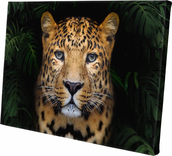 Canvasdoek Panter in de Jungle | Luipaard | Leopard | Wanddecoratie | | Schilderij | Dieren | Natuur