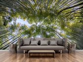 Professioneel Fotobehang Hoge bomen - groen - Sticky Decoration - fotobehang - decoratie - woonaccesoires - inclusief gratis hobbymesje - 325 cm breed x 220 cm hoog - in 7 verschillende forma