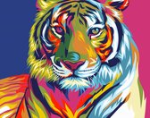 Schilderen op nummer regenboog Tijger 40x50 Kleurrijk