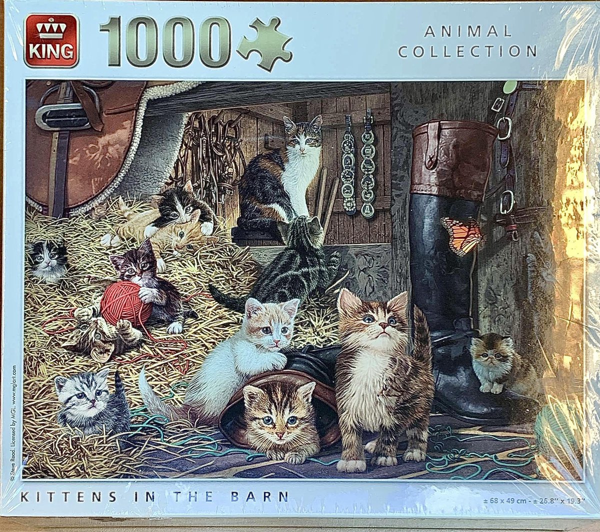 Puzzel 1000 stukjes - Puzzel volwassenen - Katten puzzel - 68x49 cm |  bol.com