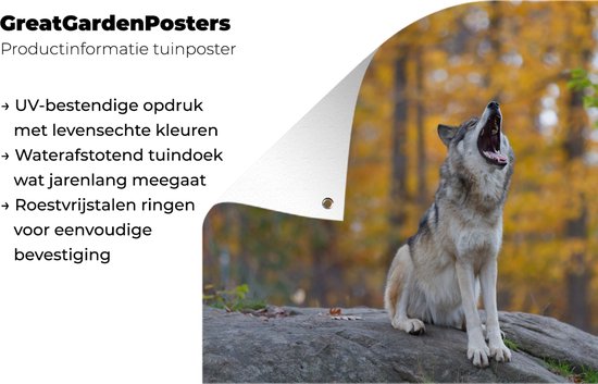 Tuinposter 60x40 cm - Tuindecoratie Wolf - Steen - Bos - Herfst - Poster voor in de tuin - Buiten decoratie - Schutting tuinschilderij - Tuindoek muurdecoratie - Wanddecoratie balkondoek