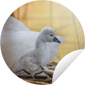 Garden Circle Bébé - Cygne - Nest - 120x120 cm - Affiche de Jardin Ronde - Extérieur - XXL