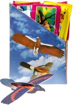 Vogel Gliders | Vliegtuigjes | Uitdeelcadeautjes | Display met 48 STUKS